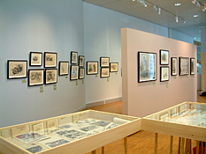 Frédéric Back: A Life’s Drawings